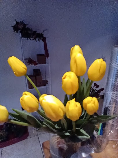 NARCISO Fiori E Decori, Fiorista a Trezzo sull'Adda