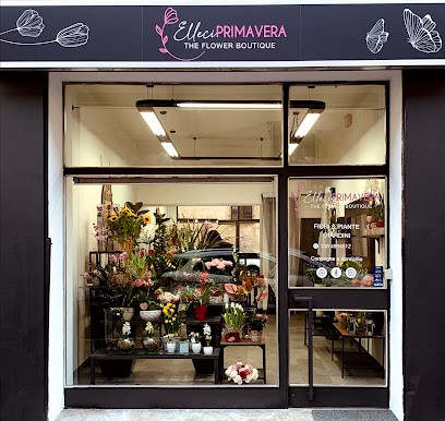 Elleciprimavera Fiori&piante - Consegne A Domicilio, Fiorista a Lomazzo