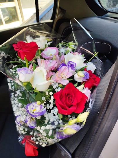 Ferrante Erasmo, Fiorista a Palermo