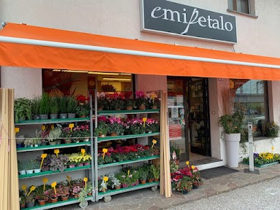 Fioreria Emipetalo, Fiorista a Gemona del Friuli