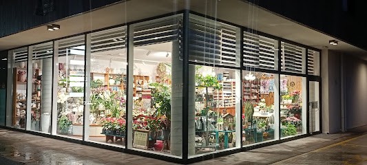 Oltre Il Giardino, Fiorista a Montebelluna