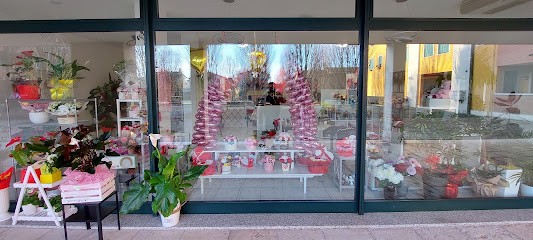 Fioreria La Peonia, Fiorista a Selvazzano Dentro