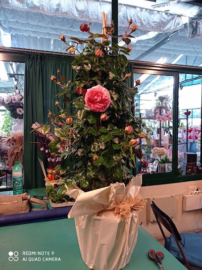 Cabano Fiori - Cabano Agrigiardinaggio, Fiorista a Rivanazzano Terme