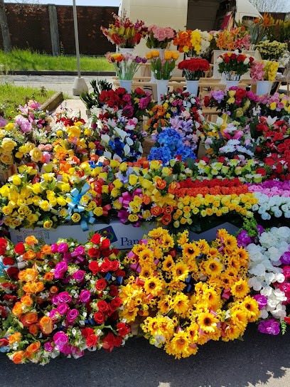 Pina Fiori, Fiorista a Moncalieri