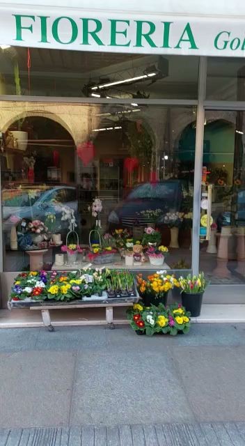 Fioreria Goldoni, Fiorista a Carpi