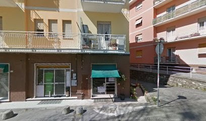 Assunta Piante E Fiori, Fiorista a Casella