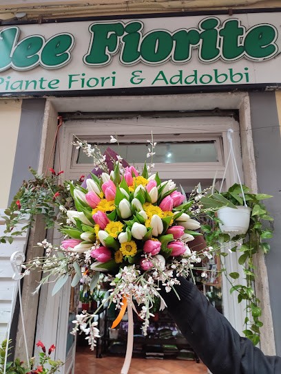 Idee Fiorite Di Russo Antonio, Fiorista a Aversa