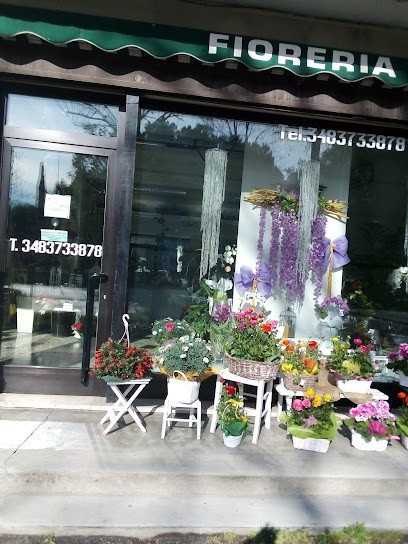 FIORERIA LIA FIORI E PIANTE, Fiorista a Spresiano
