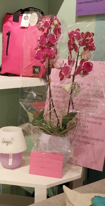 La Fioreria Dell'Albinelli, Fiorista a Modena