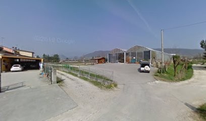 Orto E Fiori Manuela, Fiorista a Pieve di Soligo