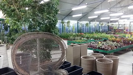 Floricoltura La Fiorita, Fiorista a Rovigo