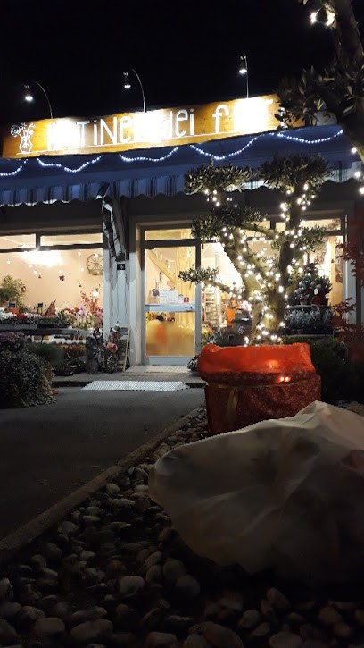 Il Tinel Dei Fiori, Fiorista a Sovizzo