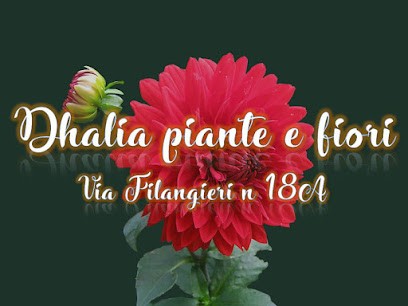 Dhalia piante & fiori di Maselli Antonietta, Fiorista a Frosolone
