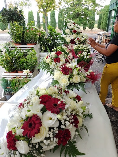 Chiosco Fiorito Di Do Nascimento Rosangela, Fiorista a Valenza