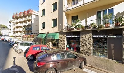 Myosotis Di Cascone Rosa, Fiorista a Firenze