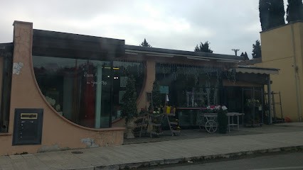 I Fiori di Gavi e Stefi, Fiorista a Cesena