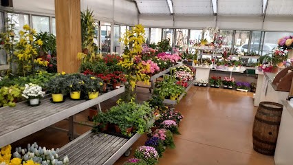 Garden La Ginestra, Fiorista a Montereale Valcellina