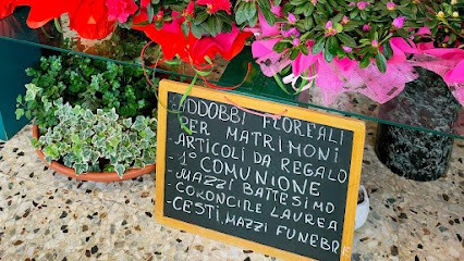 L 'AZALEA DI DOLOCA GALINA, Fiorista a Legnago