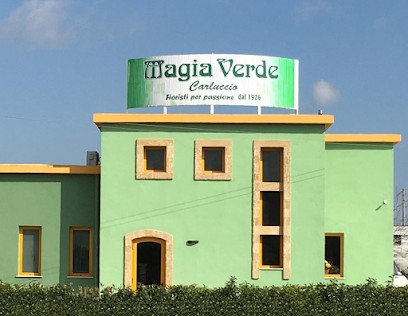 Magia Verde - Agenzia Funebre Di Carluccio G., Fiorista a Spongano