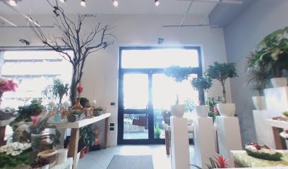 Il Tulipano - Creazioni Artistiche Sas, Fiorista a Pescara