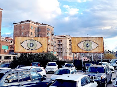 Campo Verde, Fiorista a Ancona