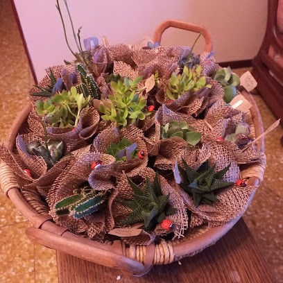 Boscodirovo, Fiorista a Gallicano