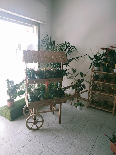 Il Giardino Segreto, Fiorista a Corchiano