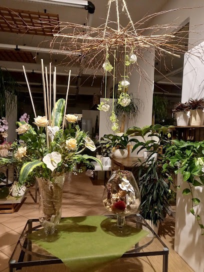 Infiore Di Zucchetto Olivo Fulvio, Fiorista a San Vito al Tagliamento