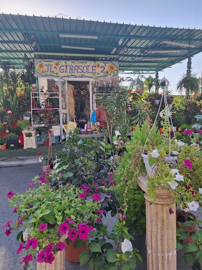 Il Girasole 2 Di Basem, Fiorista a Roma