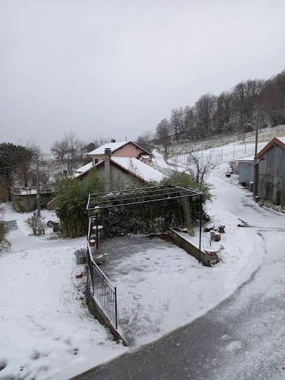 Dellepiane Chiarina Sas, Fiorista a Campomorone