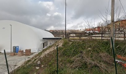 Piante e Fiori di Mottola Rosa, Fiorista a Nusco