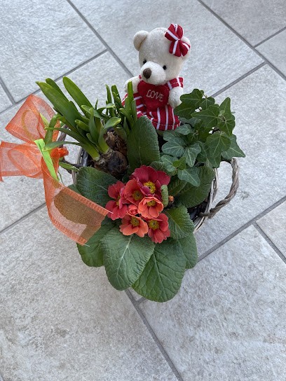 Rocci Silvana, Fiorista a Condove