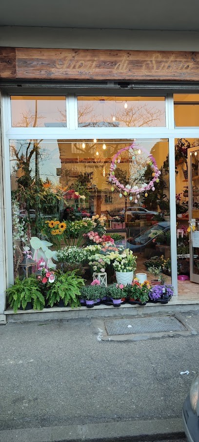 Fiori Di Silvia, Fiorista a Ferrara