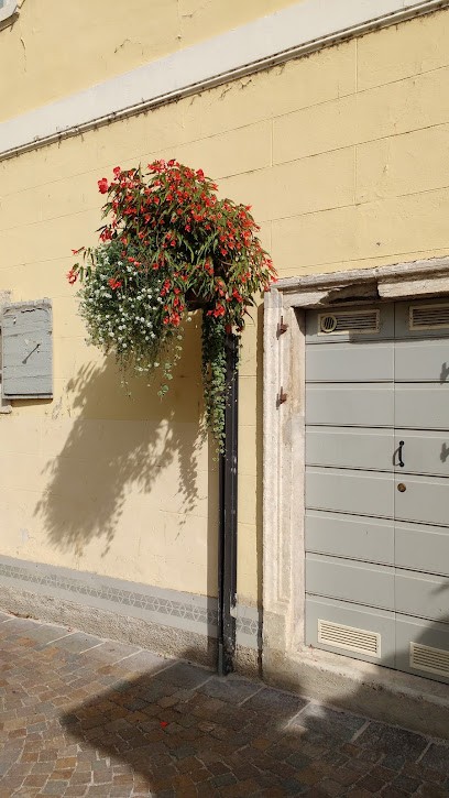 Fioreria Rosa Sas Di Nicolodi Pierangelo & C., Fiorista a Lavis