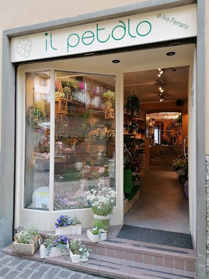 Il petalo, Fiorista a Clusone