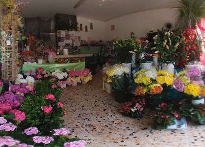 Garden Flowers Di De Persis Anna, Fiorista a Torrice