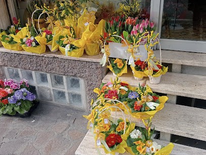 L'Orchidea Di Palazzi Andrea, Fiorista a Pesaro