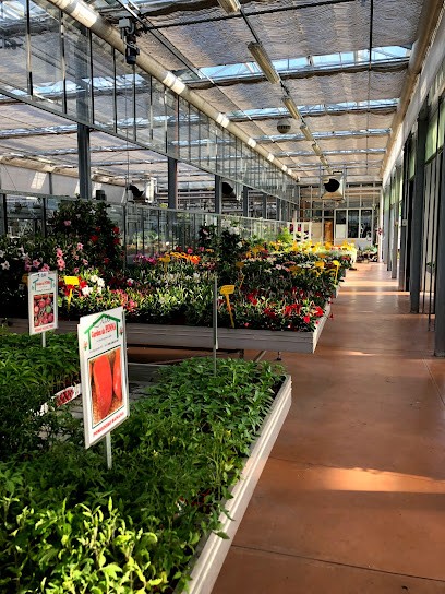 Fioreria Garden da Penna, Fiorista a Arzergrande