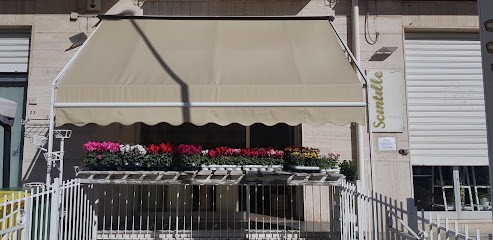 Scintille - Magia dei fiori & Piante, Fiorista a Fasano