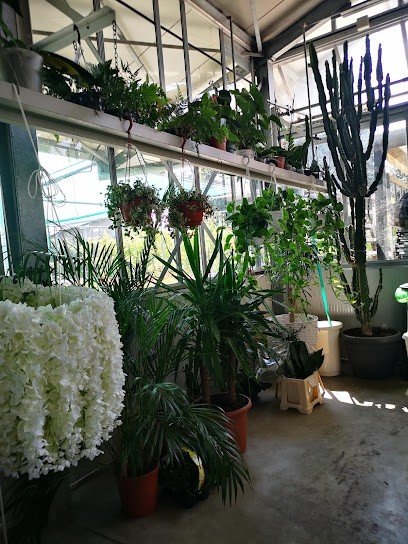 Il Giardino Del Fiorista S.n.c., Fiorista a Pandino