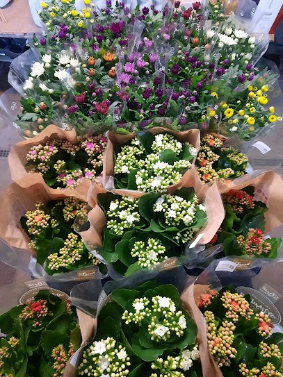 Aprea Gennaro, Fiorista a Macerata Campania