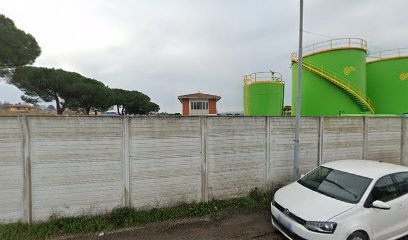 Rosa Del Deserto Di Scali Maria, Fiorista a Collesalvetti