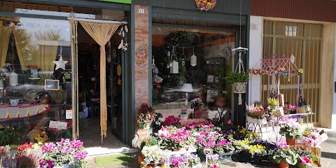 Il Girafiore, Fiorista a Ferrara