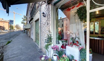 Fiori Di Malo' Di Mara Mazzoni E C. S.N.C., Fiorista a Modena