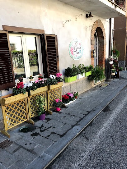 Il Giardino delle Idee, Fiorista a Penna in Teverina