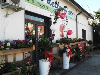 Oasi delle Fate, Fiorista a Sarzana