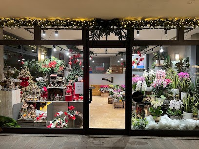 FIORERIA NUMERO 7, Fiorista a Montegrotto Terme