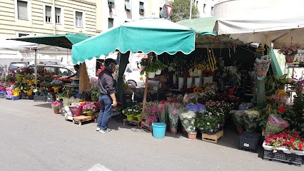 Fiori E Piante Di Lorenzo Bertoli, Fiorista a Roma