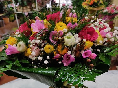 Petrocelli Fiori E Piante, Fiorista a Sala Consilina