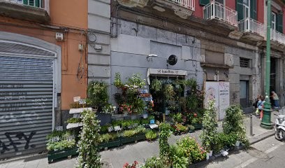 Michele Oliva Fiori, Fiorista a Napoli